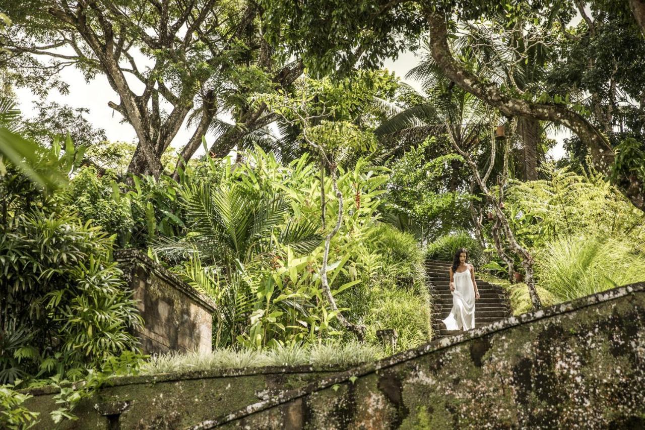 Como Shambhala Estate Payangan Exterior foto